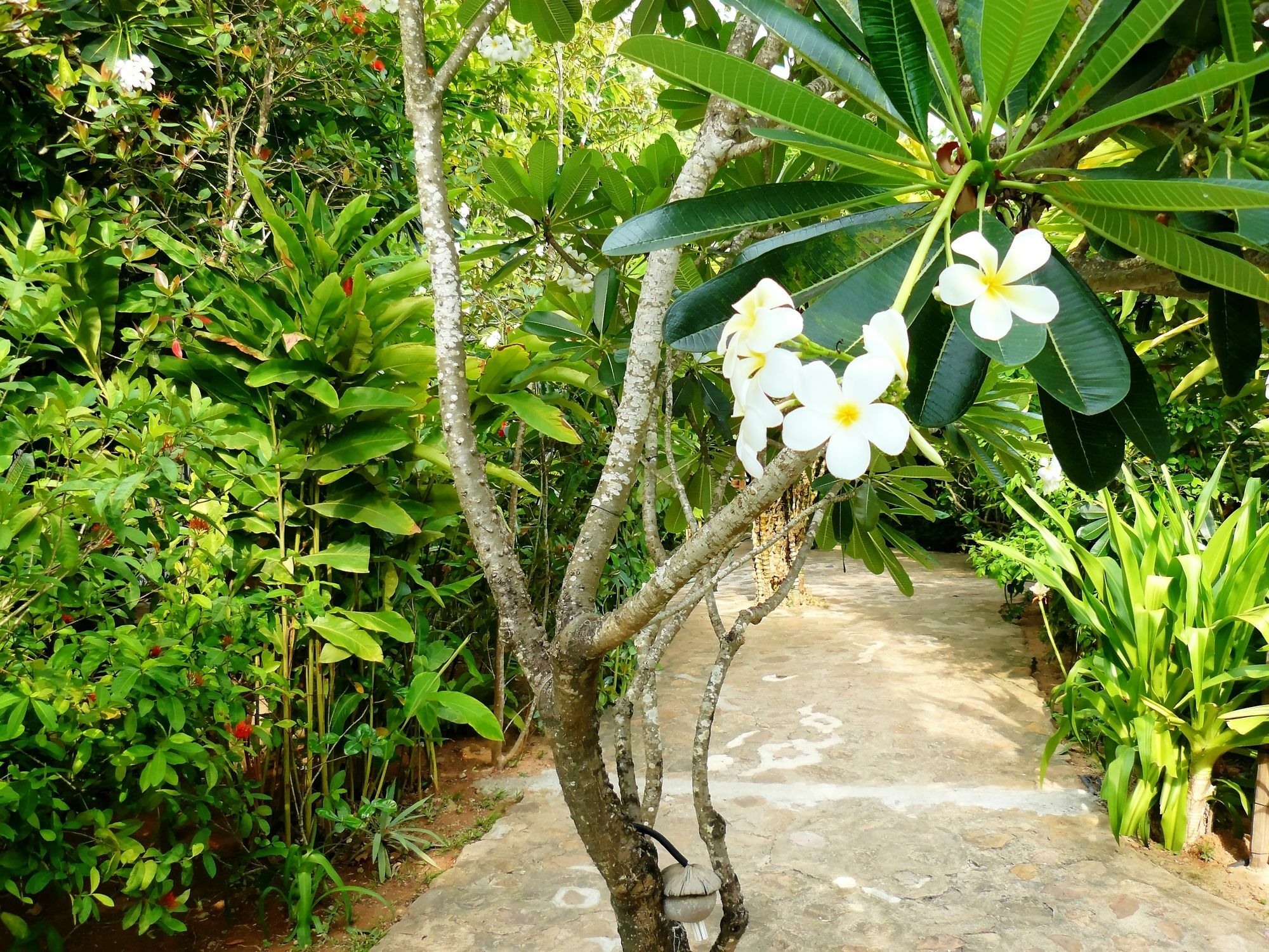 Mealea Resort Kep Exteriör bild